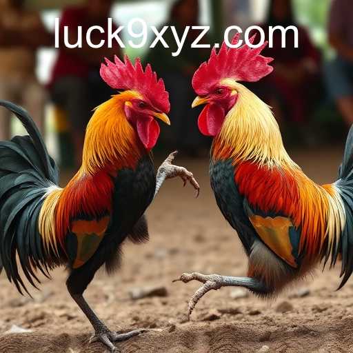 Sabong Games and the Emergence of Luck9